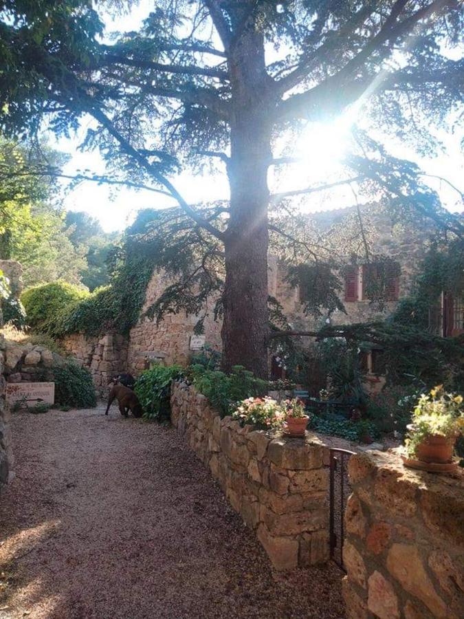 Bed and Breakfast 4 Safraniers Sillans-la-Cascade Exterior foto